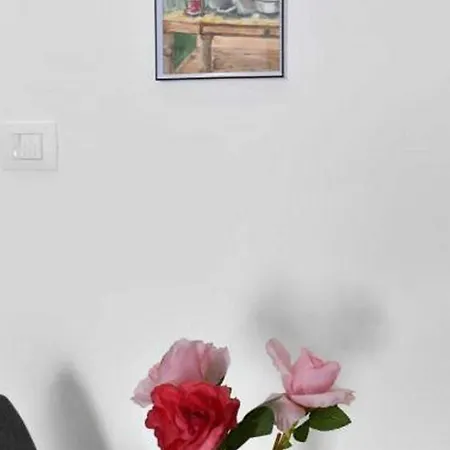 Charming Town Guest house